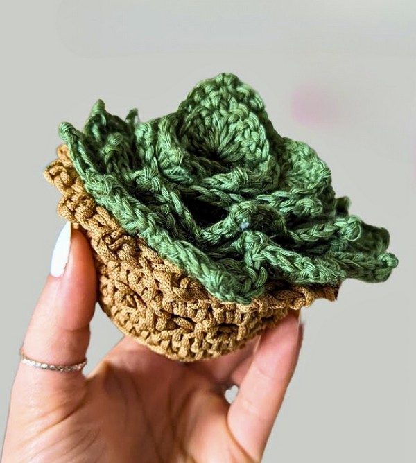 Crochet Succulent Coasters