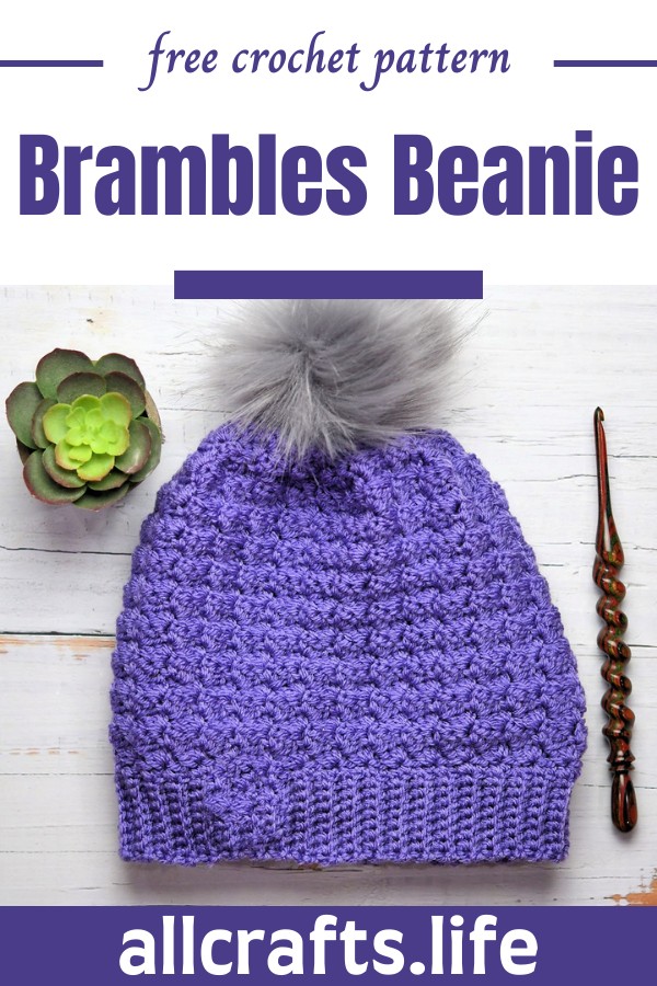 Crochet Brambles Beanie Pattern