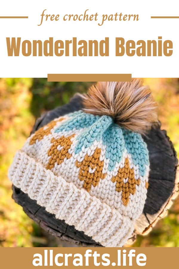 Crochet Wonderland Beanie Pattern