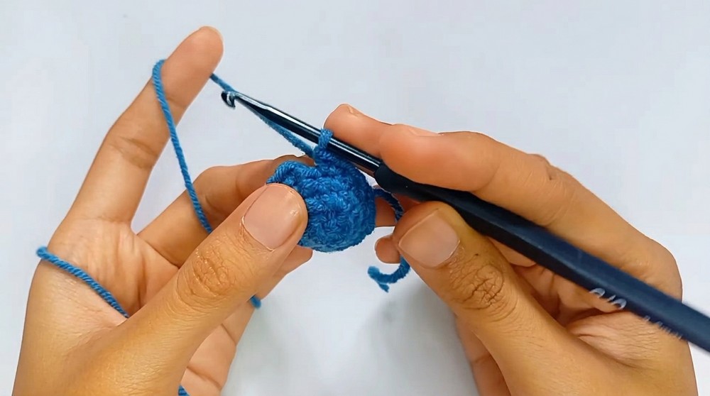 Crochet Fish Amigurumi Pattern 2