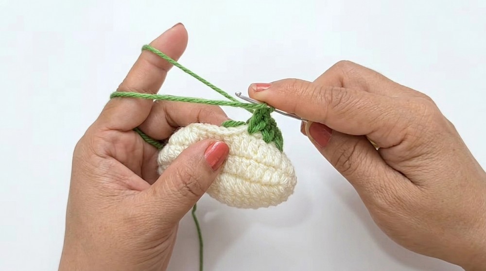Crochet Tulip Pouch Pattern 2
