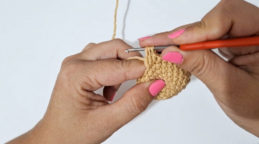 Crochet Cute Capybara Pattern 2