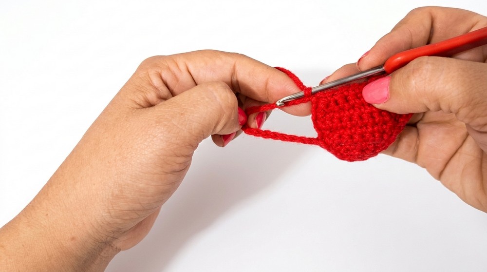 Crochet Cute Capybara Pattern 4