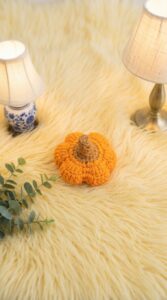Crochet Pumpkin Pattern 5