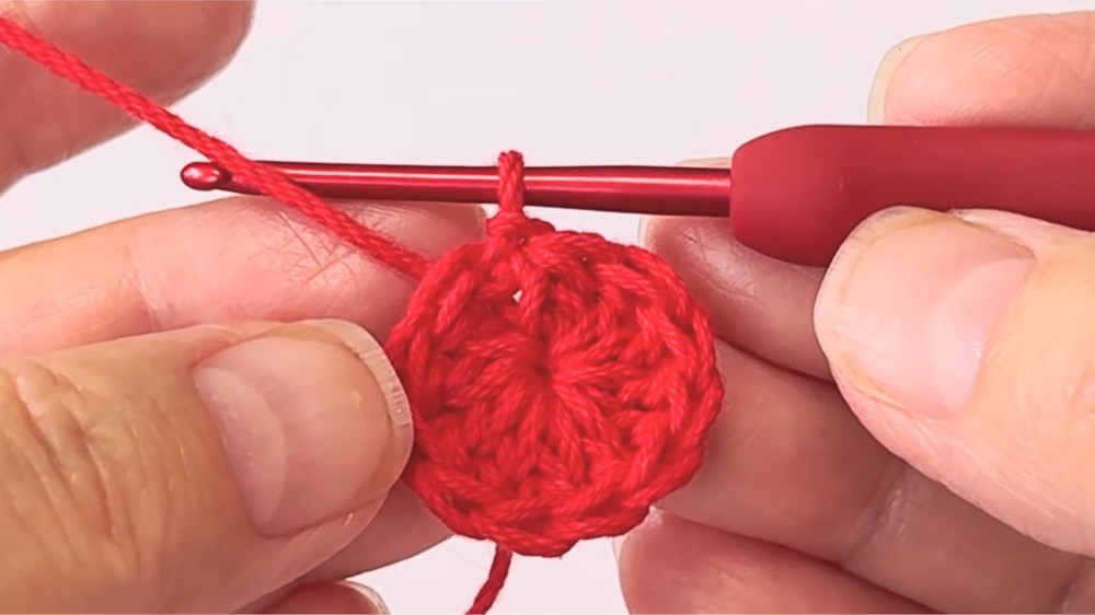 Crochet Strawberry Bottle Holder Pattern 1