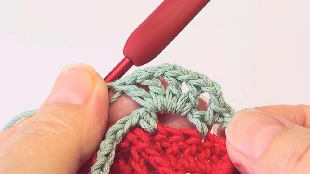 Crochet Strawberry Bottle Holder Pattern 2