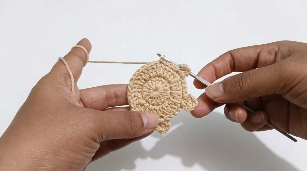 Crochet Turtle Amigurumi Pattern 2