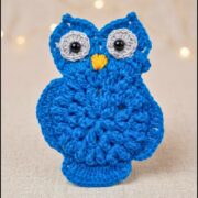Crochet Beautiful Owl Pattern 5