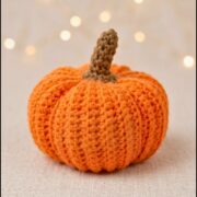 Crochet Pumpkin Pattern 5