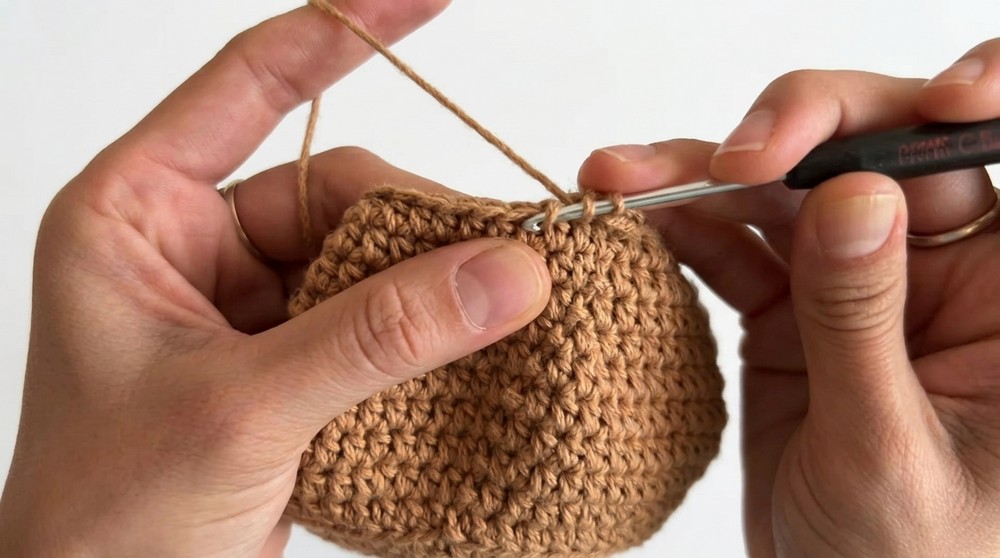 Crochet Tulip Pot Pattern 2
